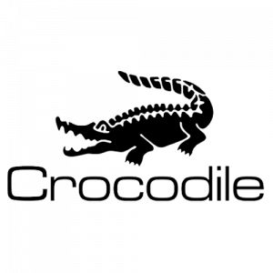 Crocodile